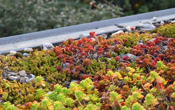the cost of Chessmount green roof installation