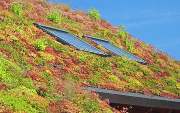 Chessmount living roof systems